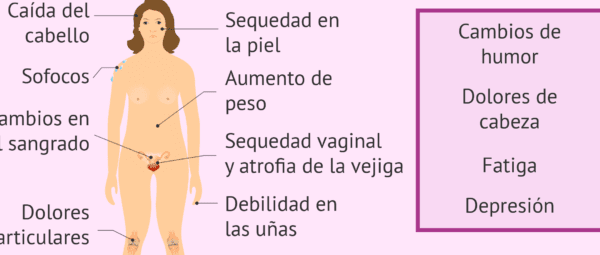 ansiedad premenopausica controlar