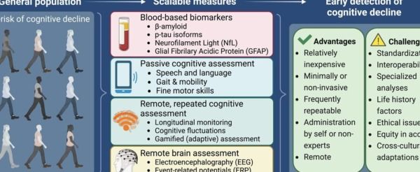 cognitive decline symptoms