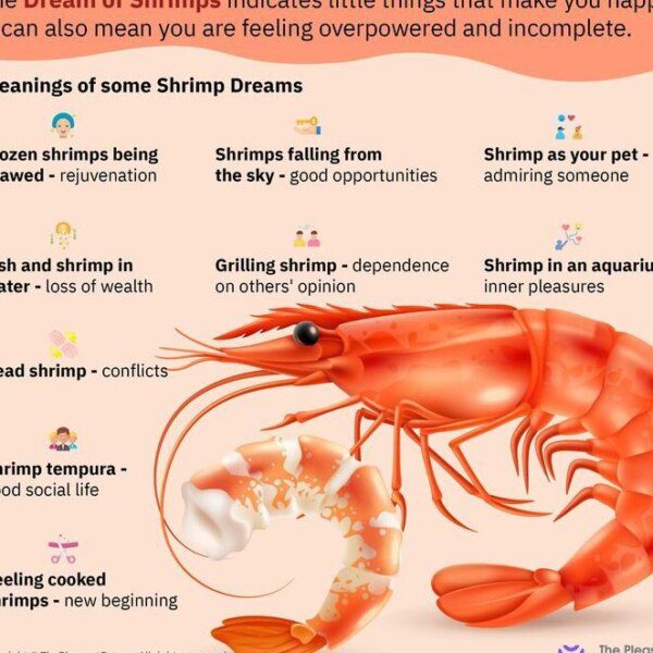 ¿Qué significa soñar con gambas? Interpretación y simbolismo de tus sueños - Psico Fronteras