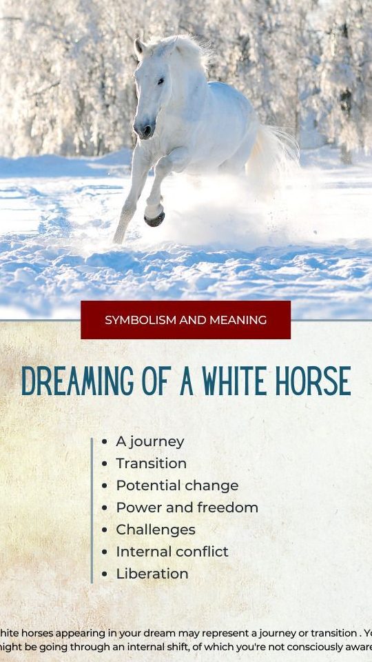 ¿Qué significa soñar con caballo blanco? Interpretaciones y simbolismos - Psico Fronteras