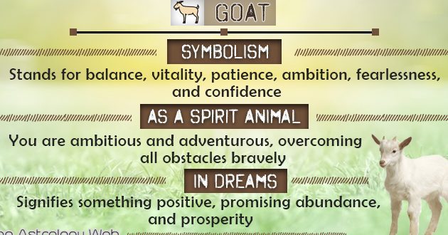 ¿Qué significa soñar con cabras? Interpretaciones y simbolismo en los sueños - Psico Fronteras
