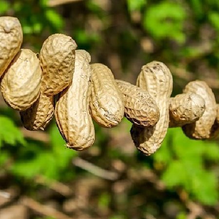 ¿Qué significa soñar con caca de bebé? Interpretaciones y significados psicológicos - Psico Fronteras