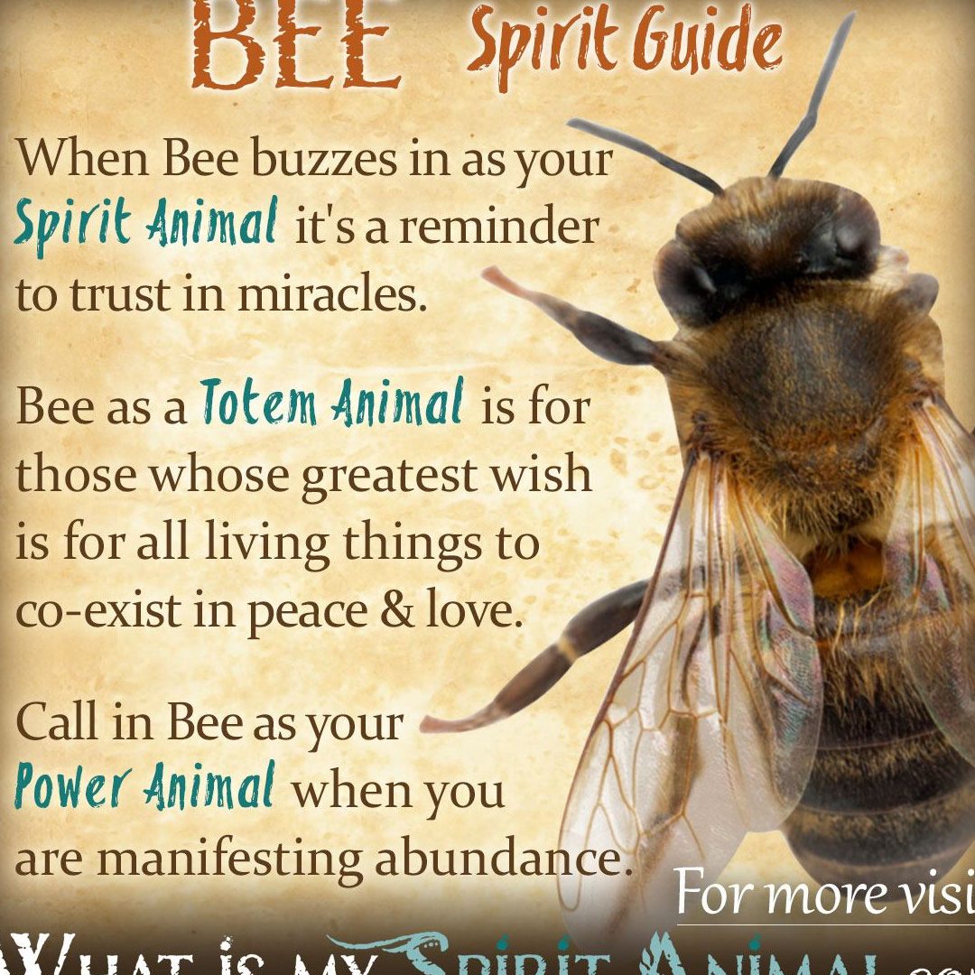 ¿Qué significa soñar con abejas en casa y su impacto en tu vida? - Psico Fronteras