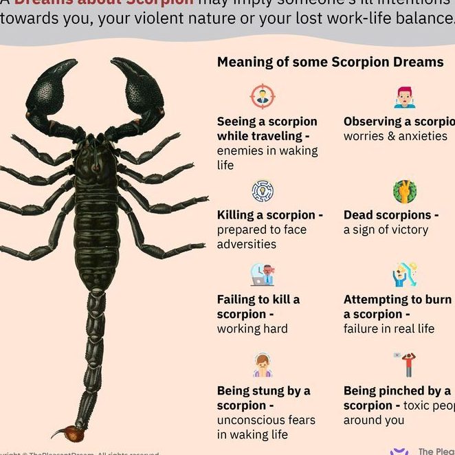 ¿Qué significa soñar con alacranes? Interpretaciones y simbolismo en los sueños - Psico Fronteras