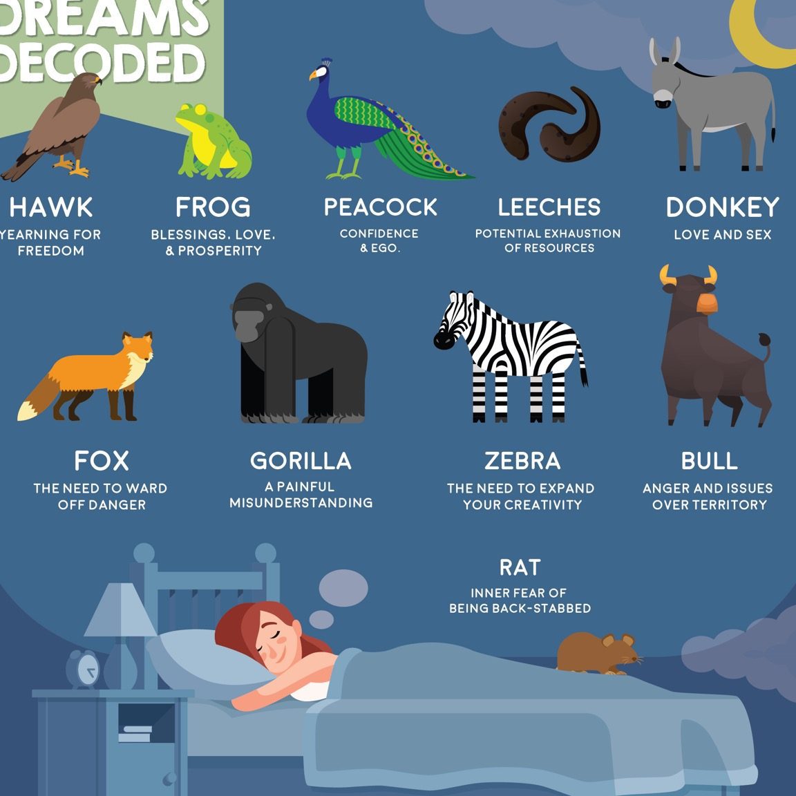 ¿Qué significa soñar con animales salvajes? Interpretación y simbolismo - Psico Fronteras