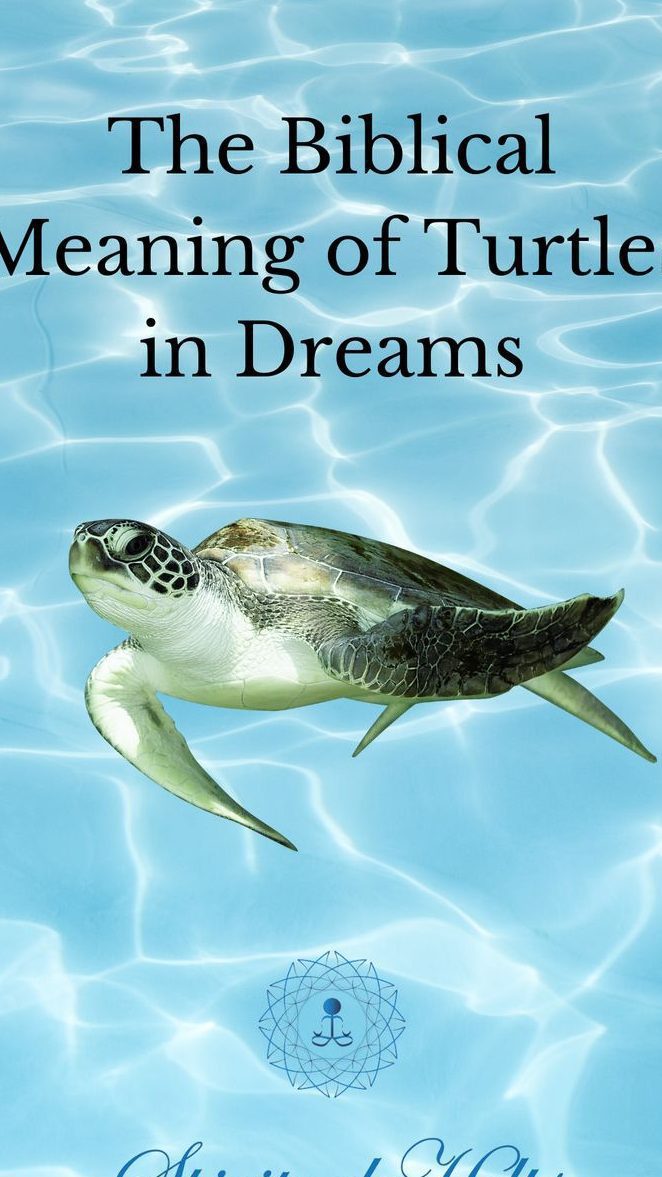 ¿Qué significa soñar con tortugas según la Biblia? Interpretaciones y simbolismos - Psico Fronteras