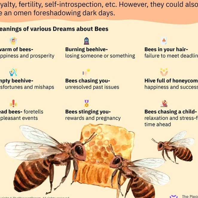 ¿Qué significa soñar con abejas? Interpretación y simbolismo de tus sueños - Psico Fronteras