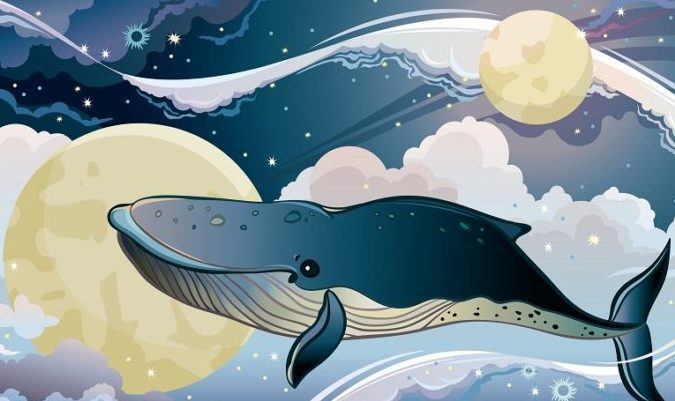 ¿Qué significa soñar con ballenas? Interpretaciones y simbolismo en los sueños - Psico Fronteras