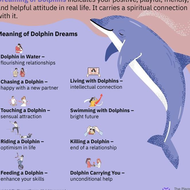 ¿Qué significa soñar con delfines? Interpretaciones y simbolismo en tus sueños - Psico Fronteras
