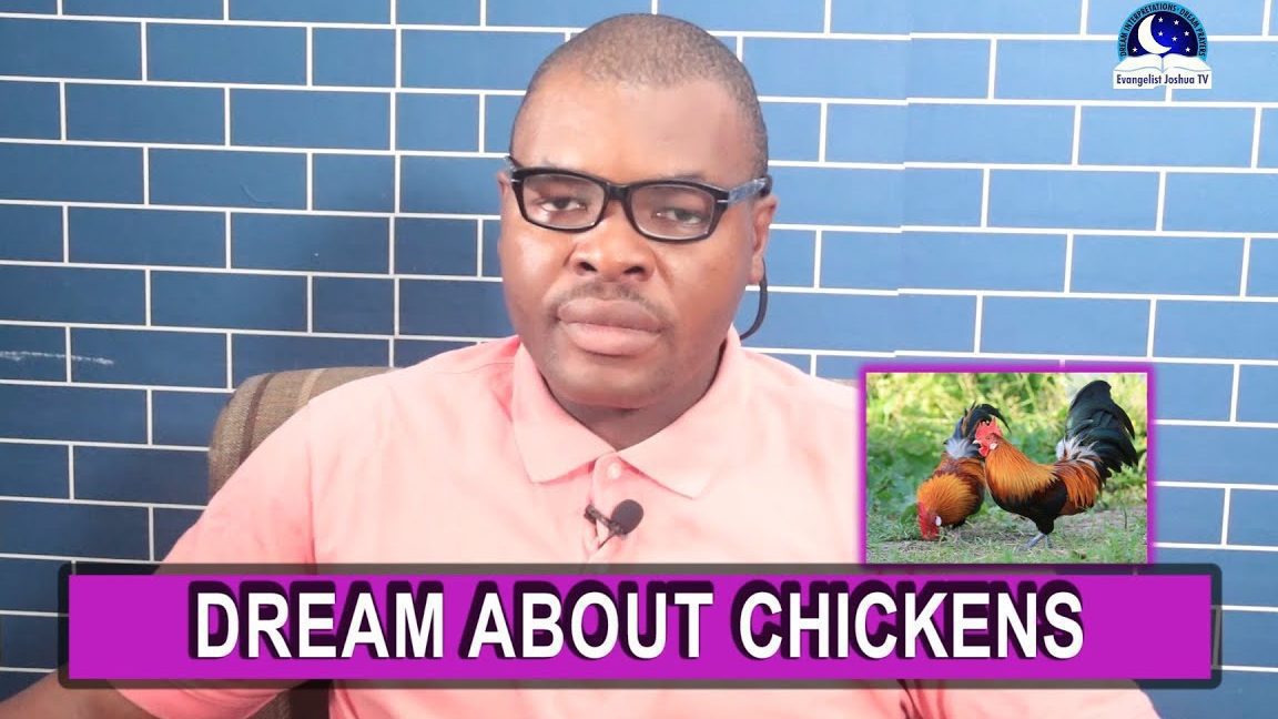 ¿Qué significa soñar con gallinas? Interpretaciones y simbolismos de tus sueños - Psico Fronteras