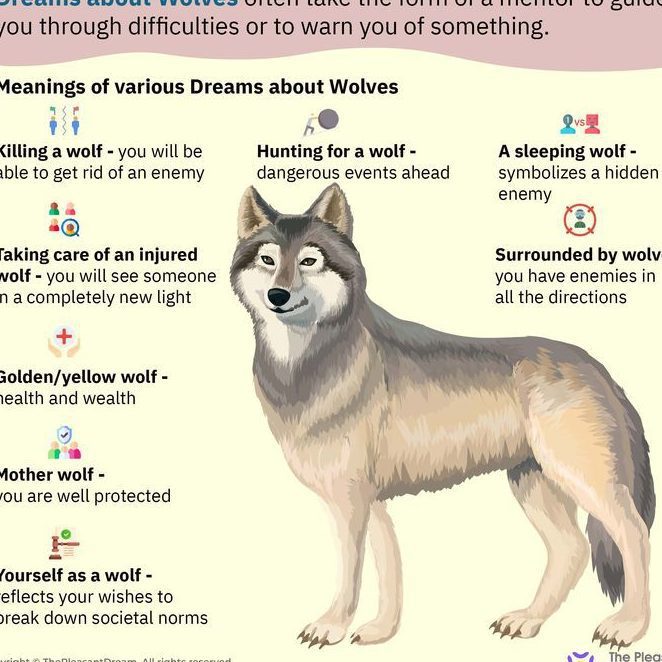 ¿Qué significa soñar con lobos? Interpretaciones y simbolismo en tus sueños - Psico Fronteras