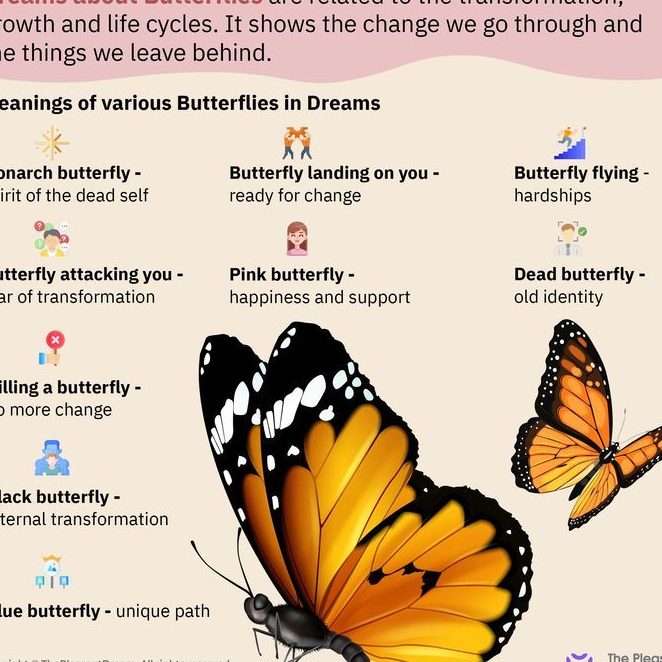 ¿Qué significa soñar con mariposas? Interpretaciones y simbolismos reveladores - Psico Fronteras