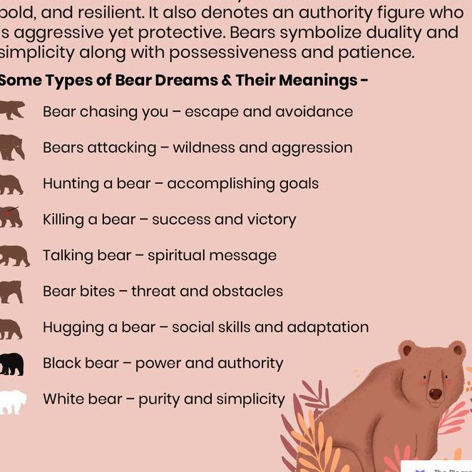 ¿Qué significa soñar con osos? Interpretaciones y simbolismos en tus sueños - Psico Fronteras