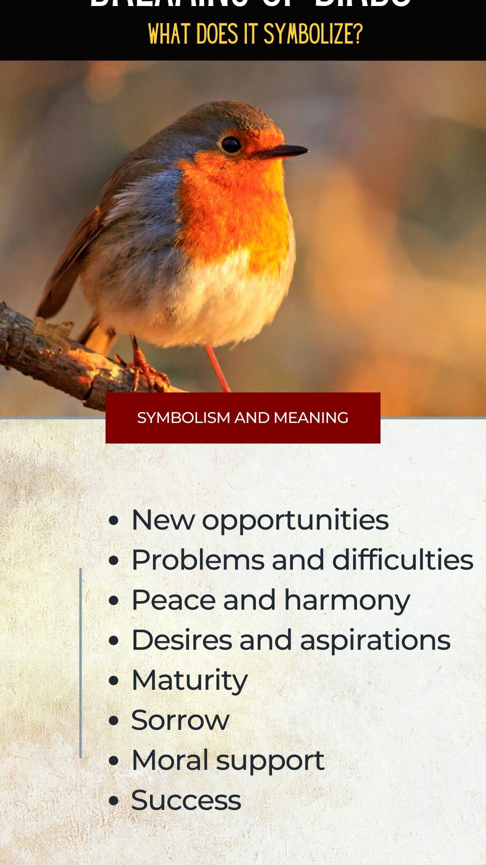 ¿Qué significa soñar con pájaros? Interpretaciones y simbolismos en los sueños - Psico Fronteras