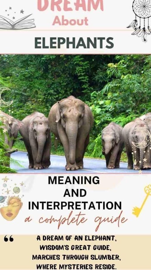 ¿Qué significa soñar con un elefante? Interpretaciones y simbolismo - Psico Fronteras