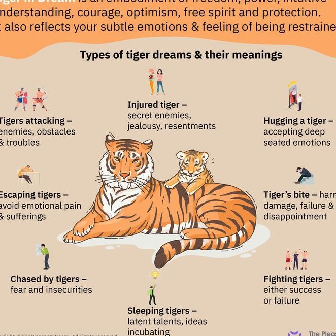 ¿Qué significa soñar con un tigre? Interpretaciones y simbolismos del sueño - Psico Fronteras