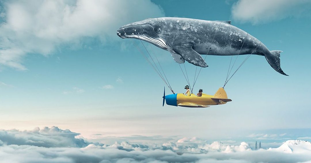 Curiosidades sobre los sueños según la ciencia que te sorprenderán - Psico Fronteras