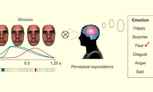 Estudio Revela que las Emociones Básicas Son Cuatro y No Seis Como Se Creía - Psico Fronteras