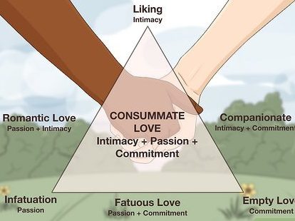 Los Tipos de Amor: Clases Distintas que Existen en las Relaciones Humanas - Psico Fronteras