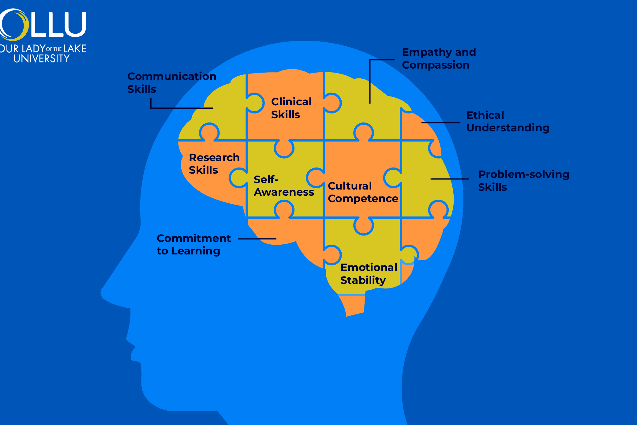 Quiero ser psicólogo/a: claves esenciales para completar con éxito la carrera de Psicología - Psico Fronteras