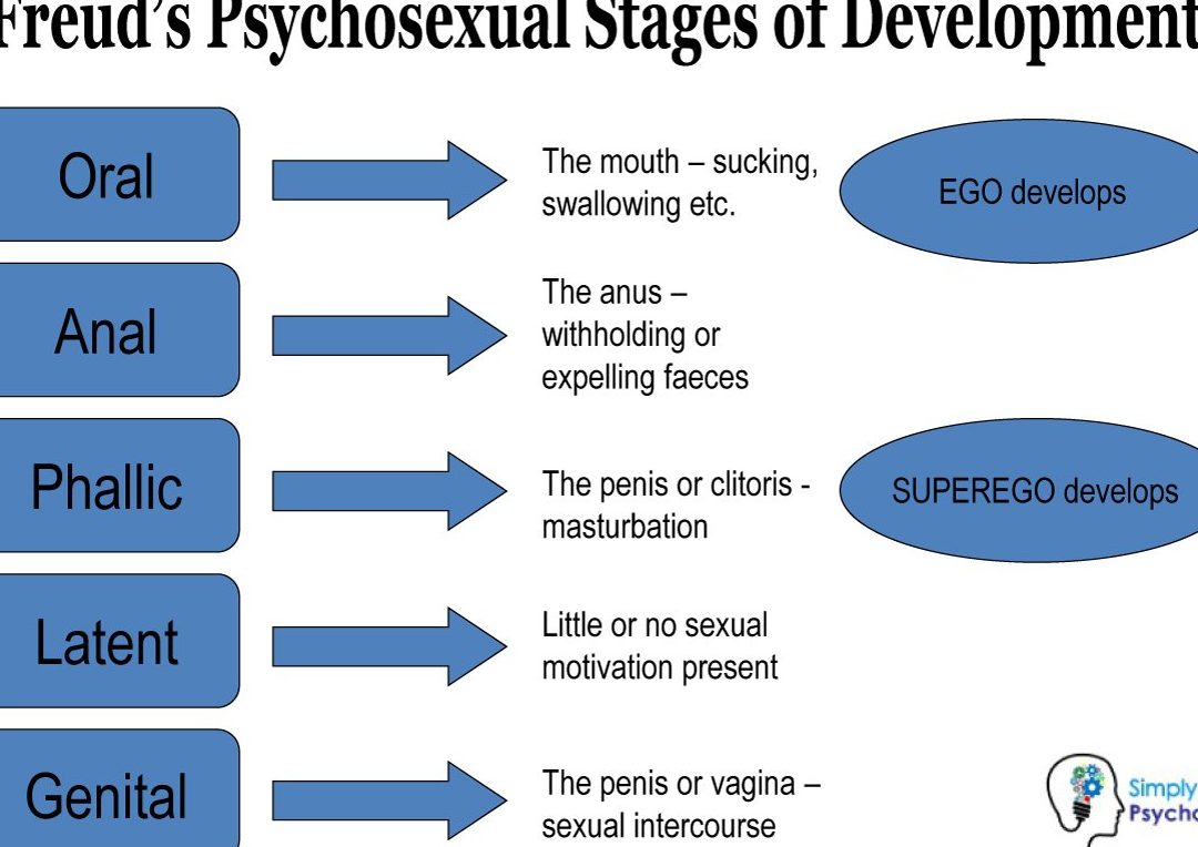 Las etapas del desarrollo psicosexual de Sigmund Freud: Una guía completa - Psico Fronteras