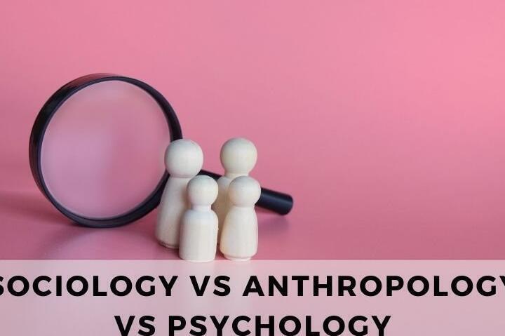 Diferencias Clave entre Psicología y Antropología: Un Análisis Comparativo - Psico Fronteras