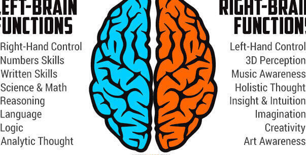 Diferencias Psicológicas y Cerebrales entre Zurdos y Diestros: Un Análisis Profundo - Psico Fronteras