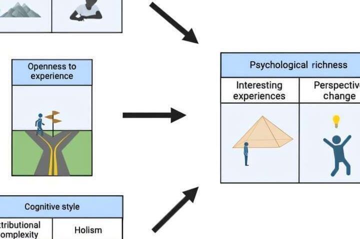 Investigaciones Curiosas sobre Psicología que Te Sorprenderán y Cambiarán Tu Perspectiva - Psico Fronteras