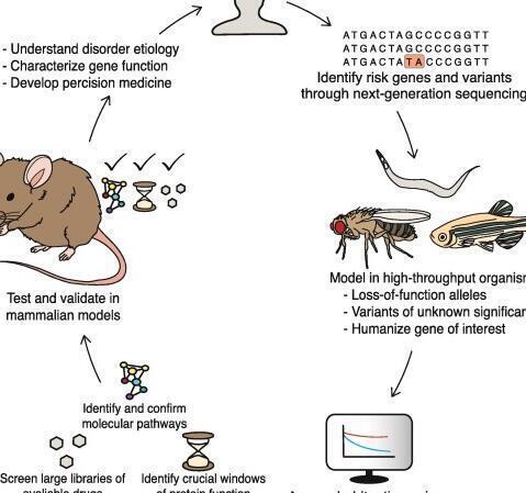 La habituación: entendiendo su papel fundamental en el aprendizaje pre-asociativo - Psico Fronteras