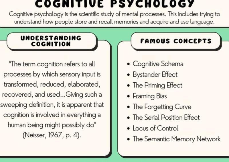 Psicología Cognitiva: Definición, Teorías y Principales Autores - Psico Fronteras