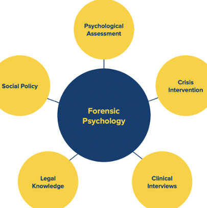 Psicología Forense: Definición y Funciones del Psicólogo Forense en el Sistema Judicial - Psico Fronteras