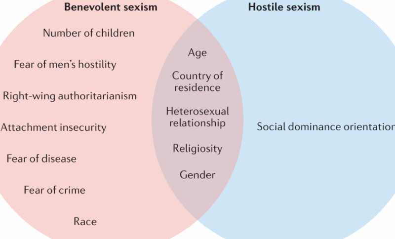 Tipos de sexismo: Comprendiendo las diversas formas de discriminación en la sociedad - Psico Fronteras