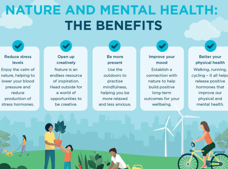 Beneficios de vivir en contacto con la naturaleza para la salud mental - Psico Fronteras