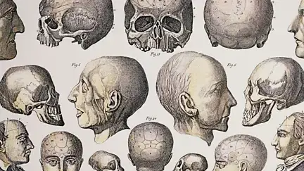 Frenología: Cómo la Medición del Cráneo Revela Secretos de la Mente - Psico Fronteras