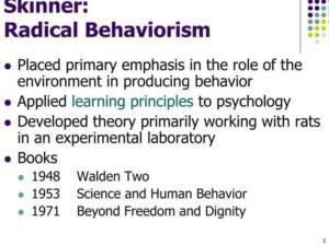 Conductismo radical: Principios teóricos y aplicaciones en la psicología moderna - Psico Fronteras
