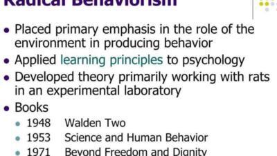 Conductismo radical: Principios teóricos y aplicaciones en la psicología moderna - Psico Fronteras