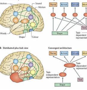 Memoria Semántica: Funcionamiento y Trastornos Asociados en la Cognición Humana - Psico Fronteras