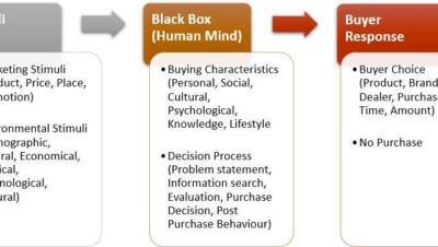 ¿Qué es la caja negra en la psicología conductista? - Psico Fronteras