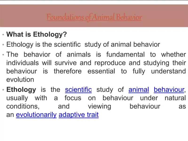 ¿Qué es la Etología y cuál es su objeto de estudio en la conducta animal? - Psico Fronteras