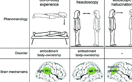 Autoscopia: Comprendiendo el Efecto Psicológico de Percepción Externa - Psico Fronteras