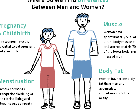 Las diferencias biológicas entre hombres y mujeres: un análisis profundo - Psico Fronteras