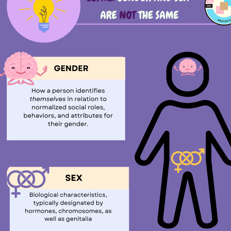 Las diferencias entre sexo y género: conceptos clave explicados - Psico Fronteras