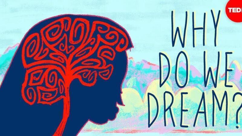 ¿Por qué soñamos? Teorías que explican este fascinante fenómeno psicológico - Psico Fronteras