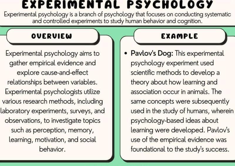 Psicología Experimental: Orientaciones y Objetivos Clave en la Investigación Psicológica - Psico Fronteras