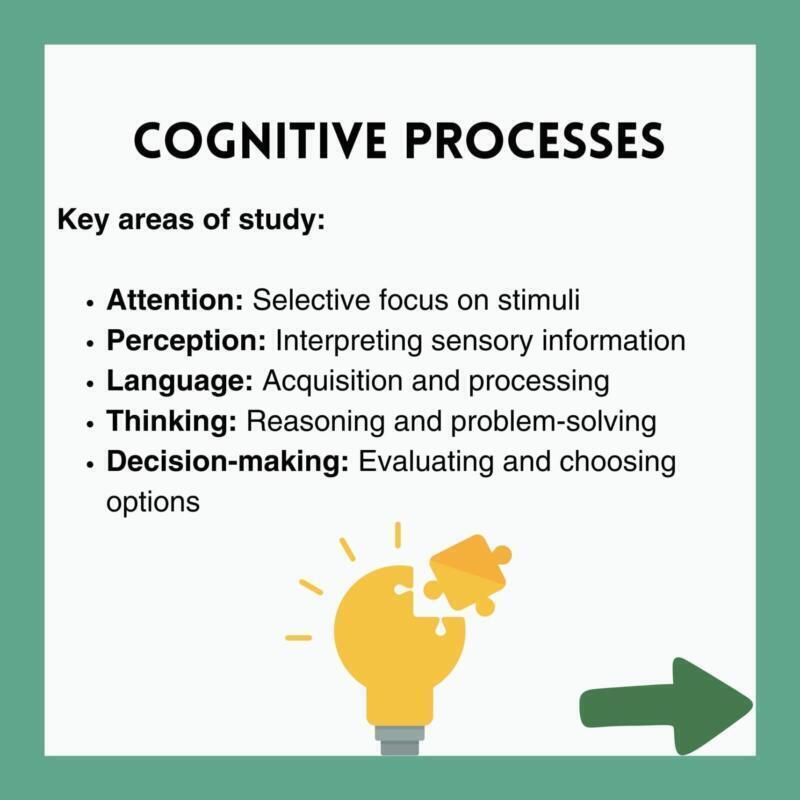 Procesos Cognitivos: Definición y Relevancia en Psicología - Psico Fronteras